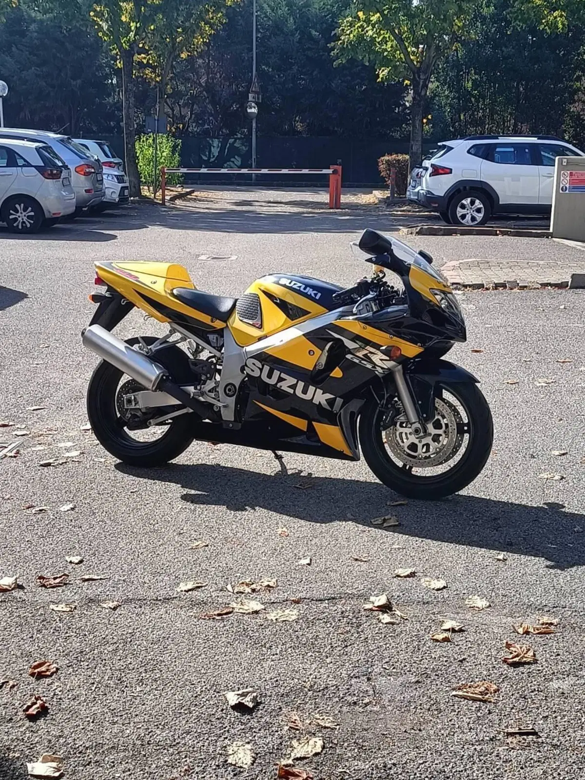 Suzuki GSX R 600 (2001 - 03) (4)