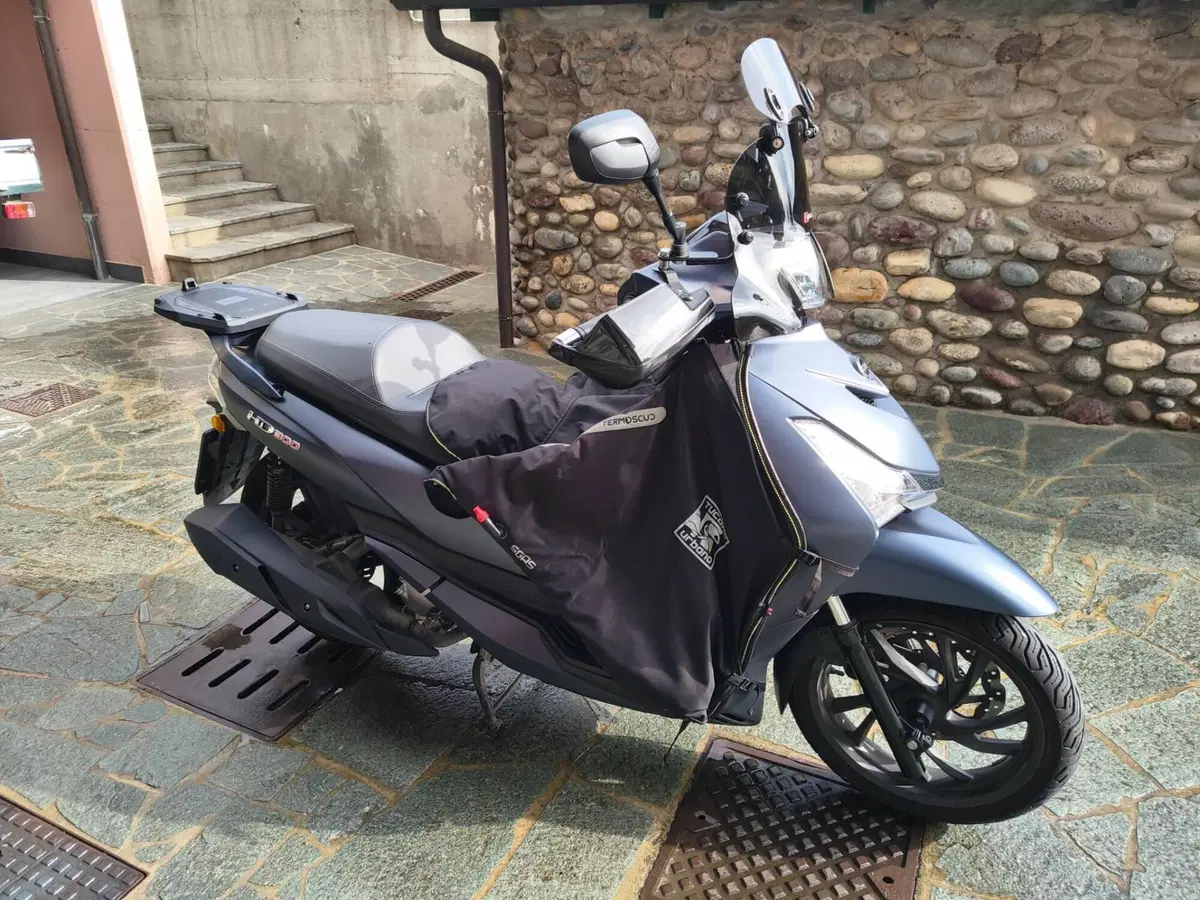 Sym HD 300 (2021 - 25)