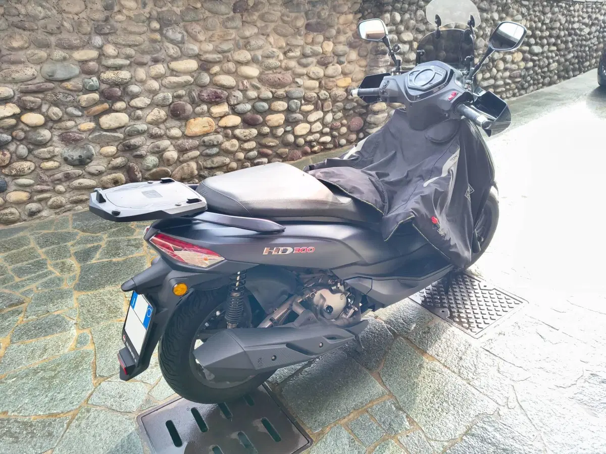 Sym HD 300 (2021 - 25) (6)