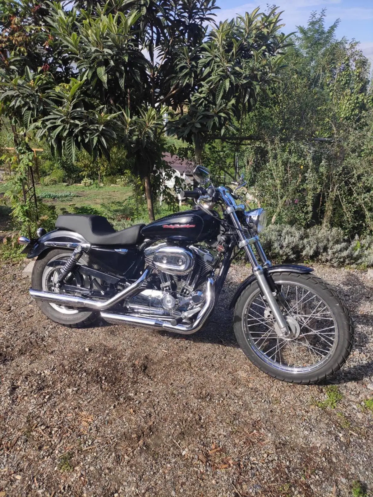 Harley-Davidson 1200 Custom (2004 - 06) - XL 1200C (2)
