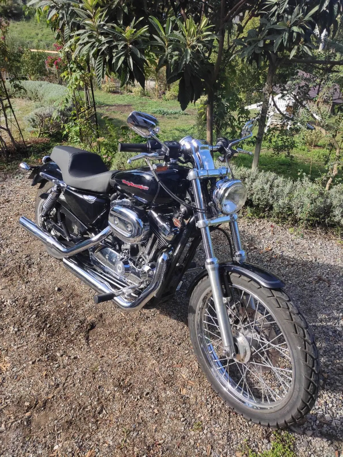 Harley-Davidson 1200 Custom (2004 - 06) - XL 1200C (4)