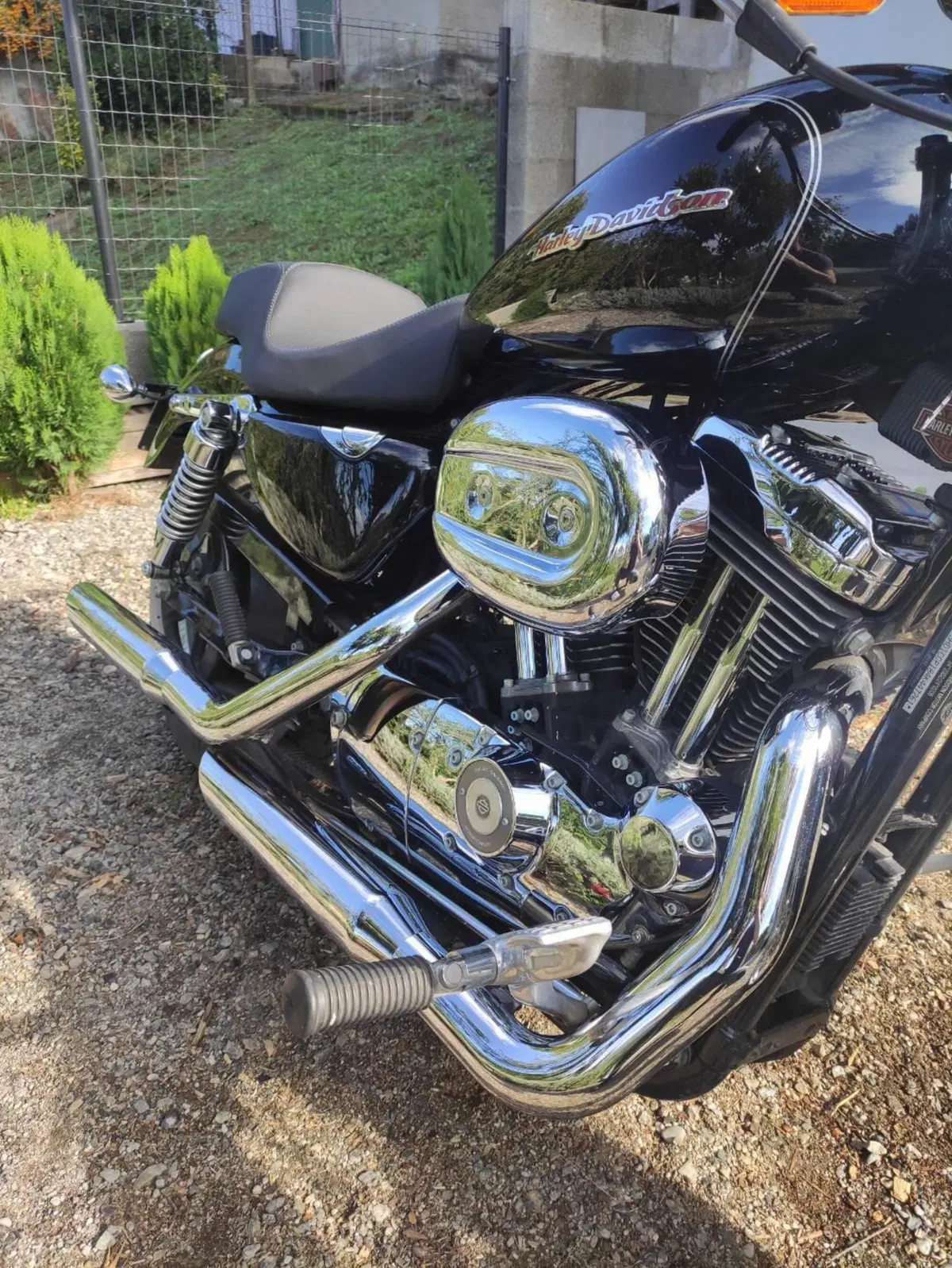 Harley-Davidson 1200 Custom (2004 - 06) - XL 1200C (5)