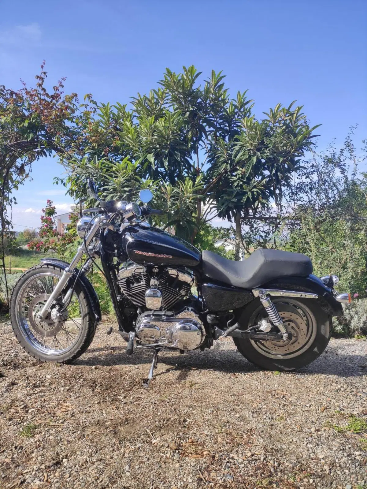Harley-Davidson 1200 Custom (2004 - 06) - XL 1200C (3)