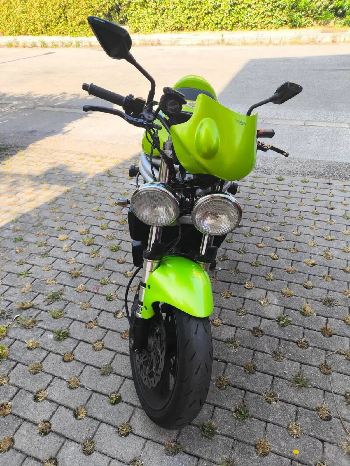 Triumph Speed Triple 955 (1998 - 01) (4)