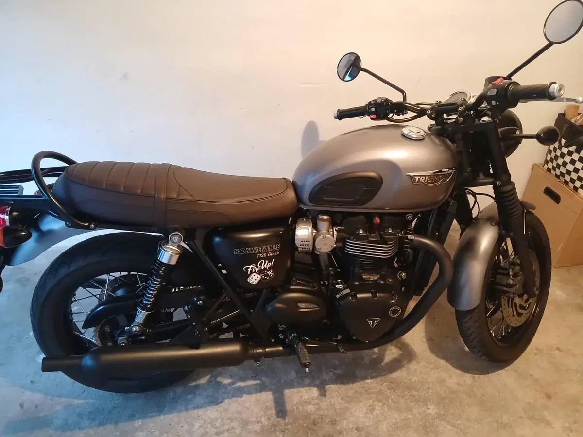 Triumph Bonneville T120 Black (2017 - 20) (7)
