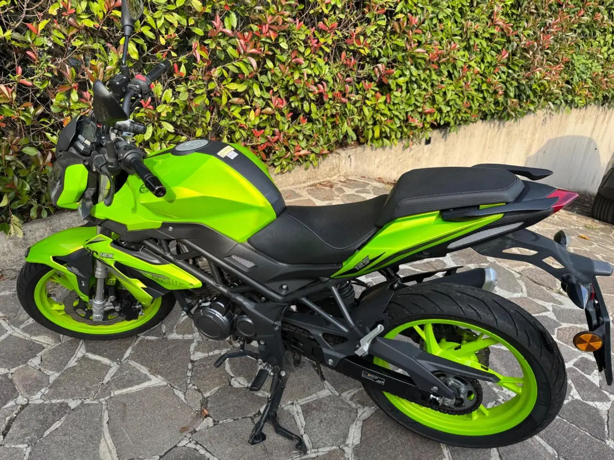 Benelli BN 125 (2018 - 20) (2)