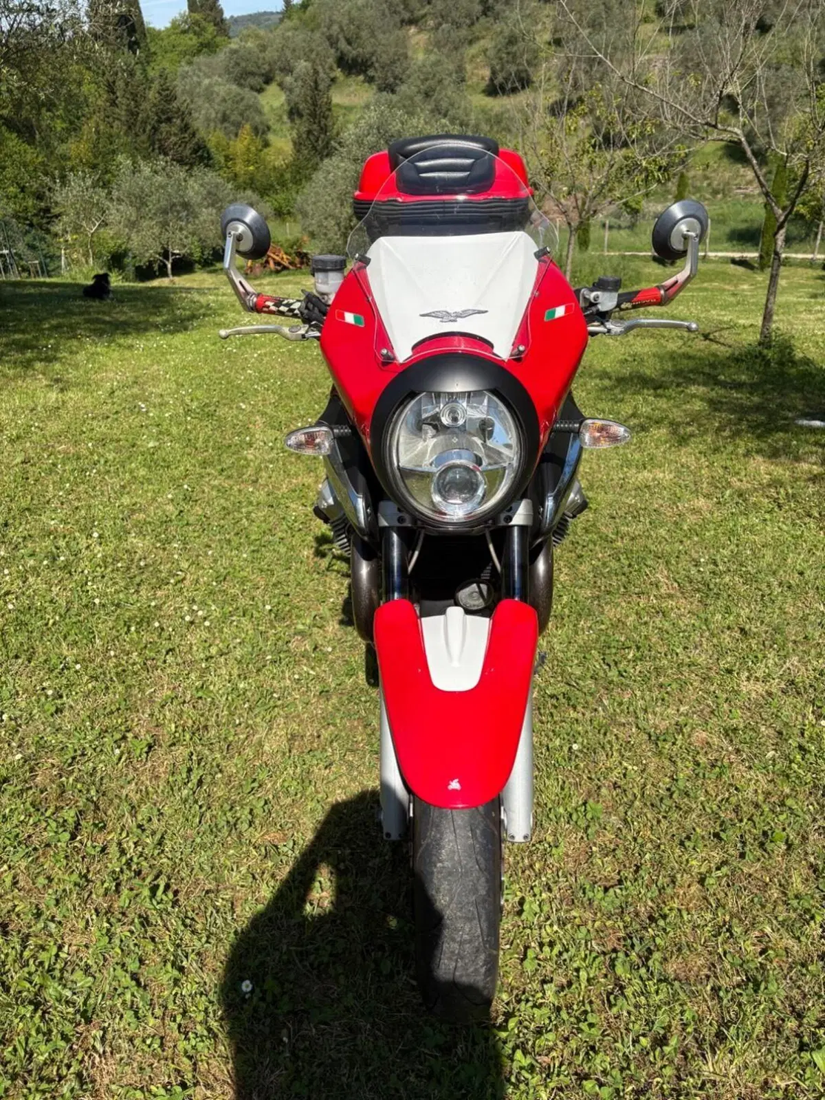 Moto Guzzi Sport 1200 (2006 - 08) (4)