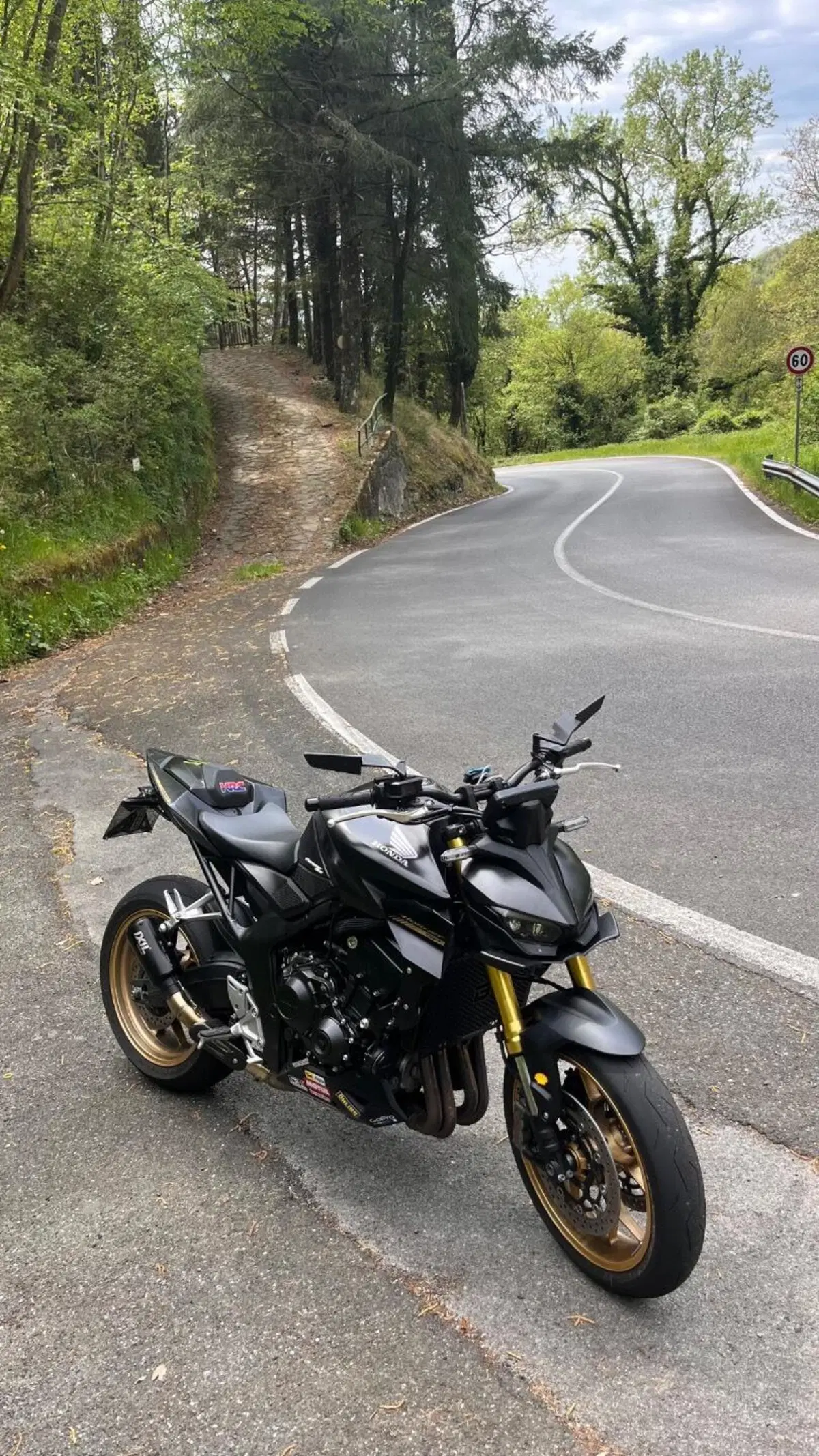 Honda CB 1000 Hornet SP (2025 - 26) (7)