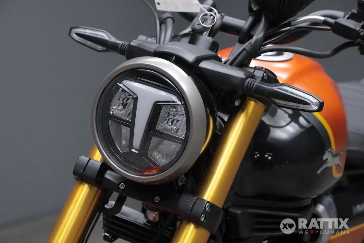TVS Motor Ronin 250 (2024 - 26) (6)