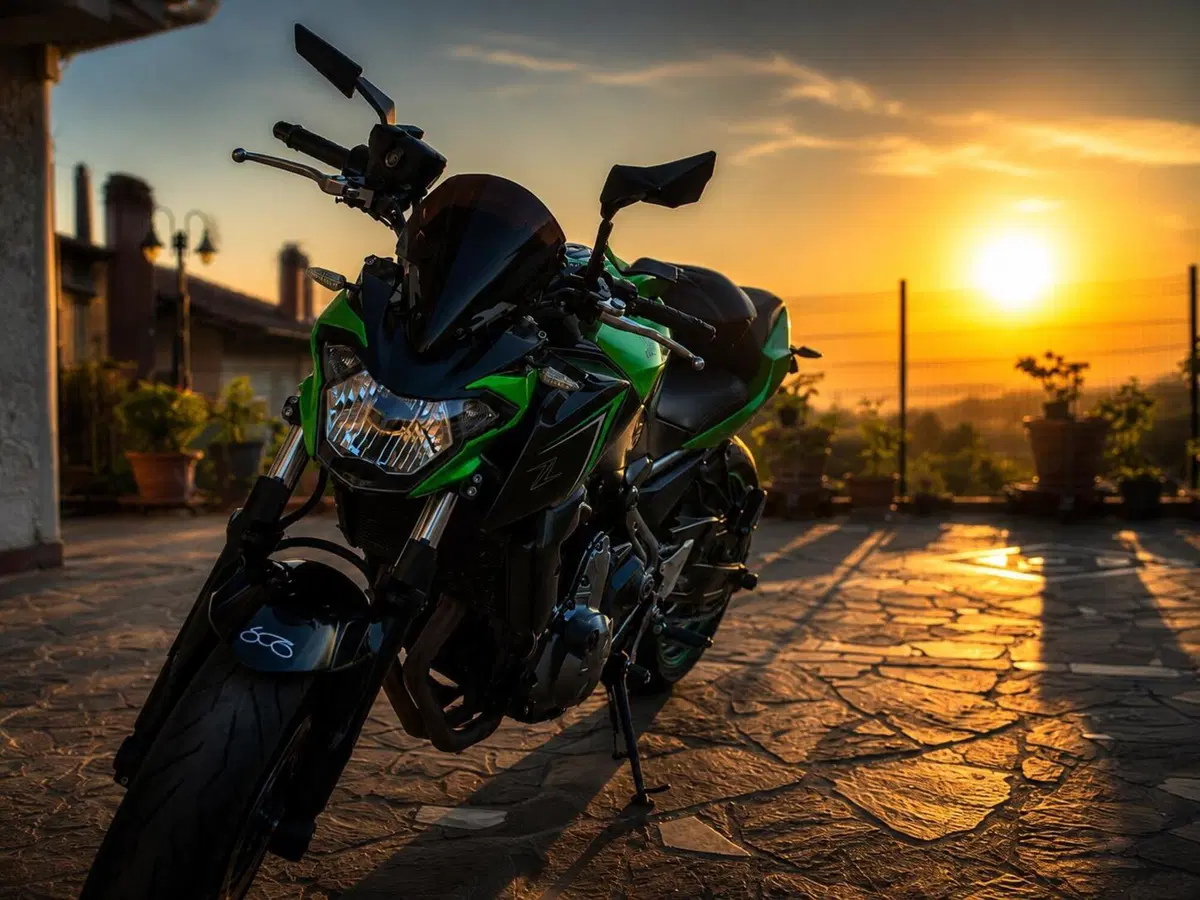 Kawasaki Z 650 (2017 - 19)