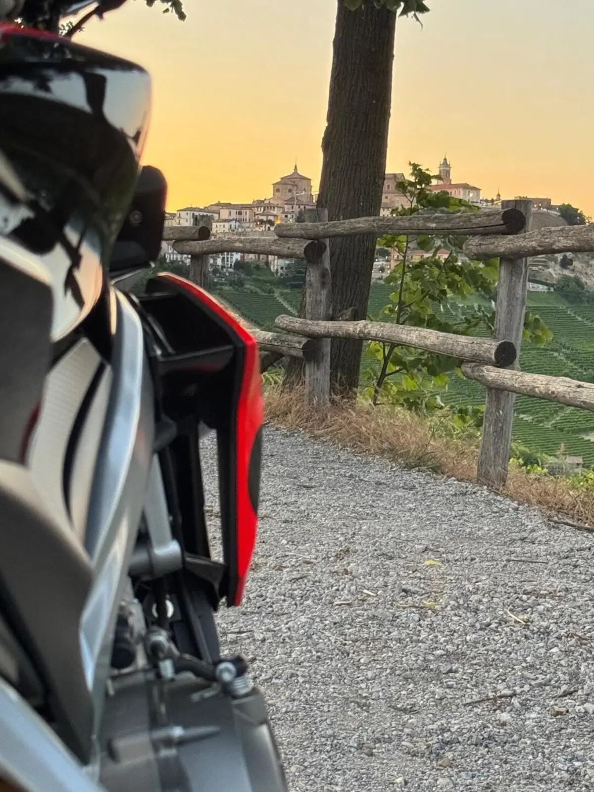 Aprilia Tuono 660 Factory (2022 - 24) (5)