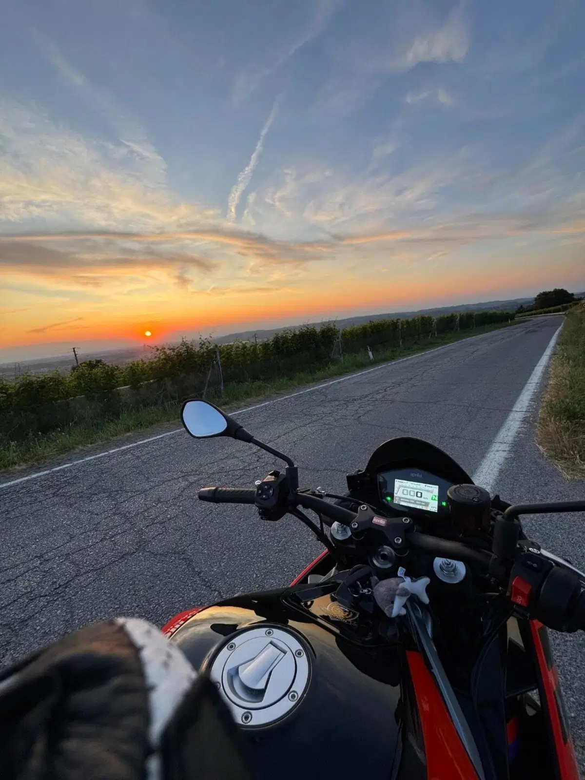 Aprilia Tuono 660 Factory (2022 - 24) (2)