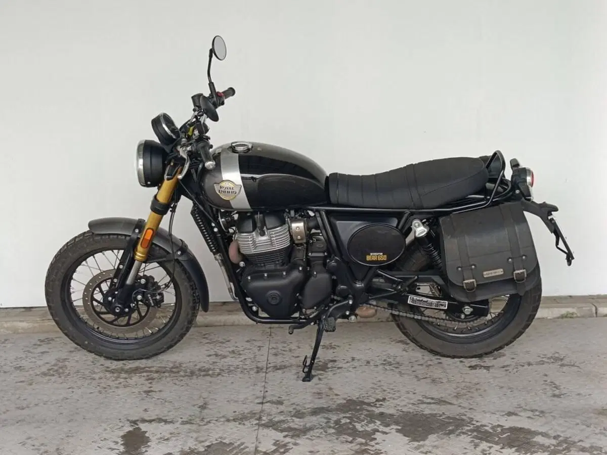 Royal Enfield Bear 650 (2025 - 26) (4)