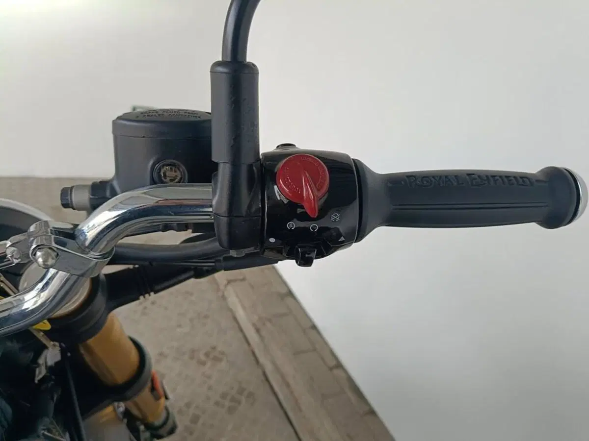 Royal Enfield Bear 650 (2025 - 26) (9)