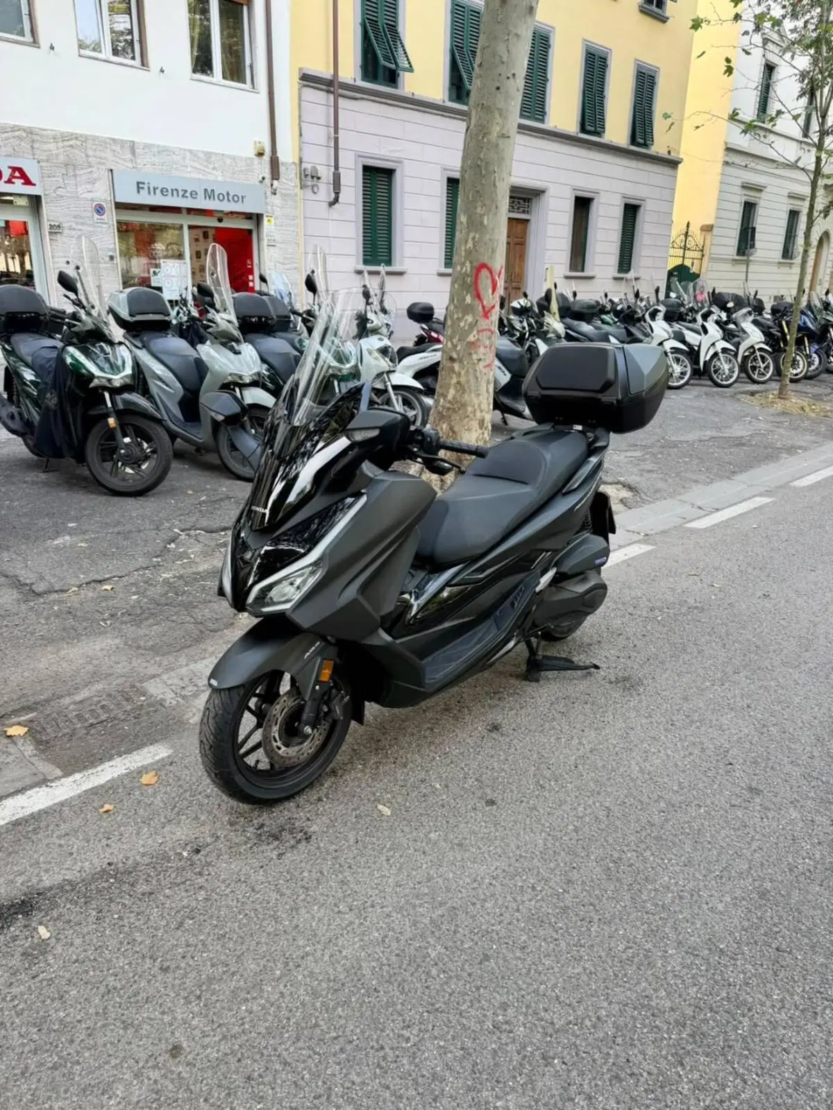 Honda Forza 350 Deluxe (2022 - 24) (3)