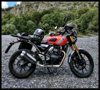 Triumph Scrambler 400 X (2024 - 26) usata