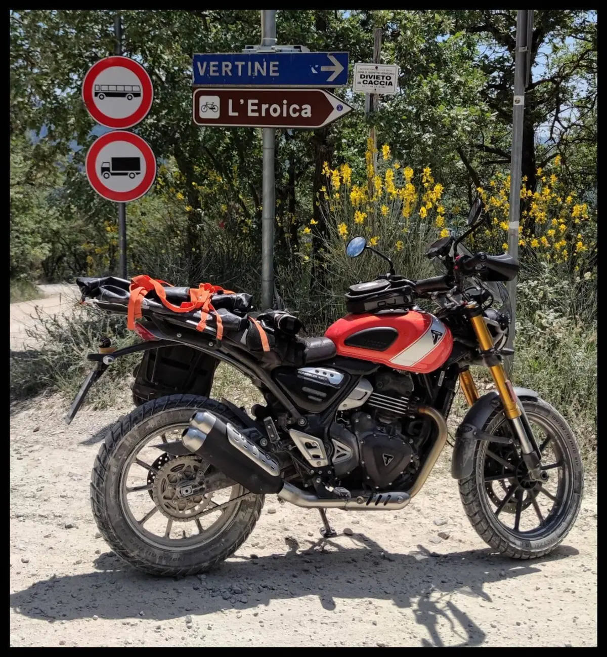 Triumph Scrambler 400 X (2024 - 26) (7)