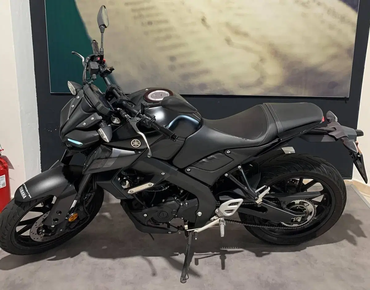 Yamaha MT-125 (2021 - 24) (3)