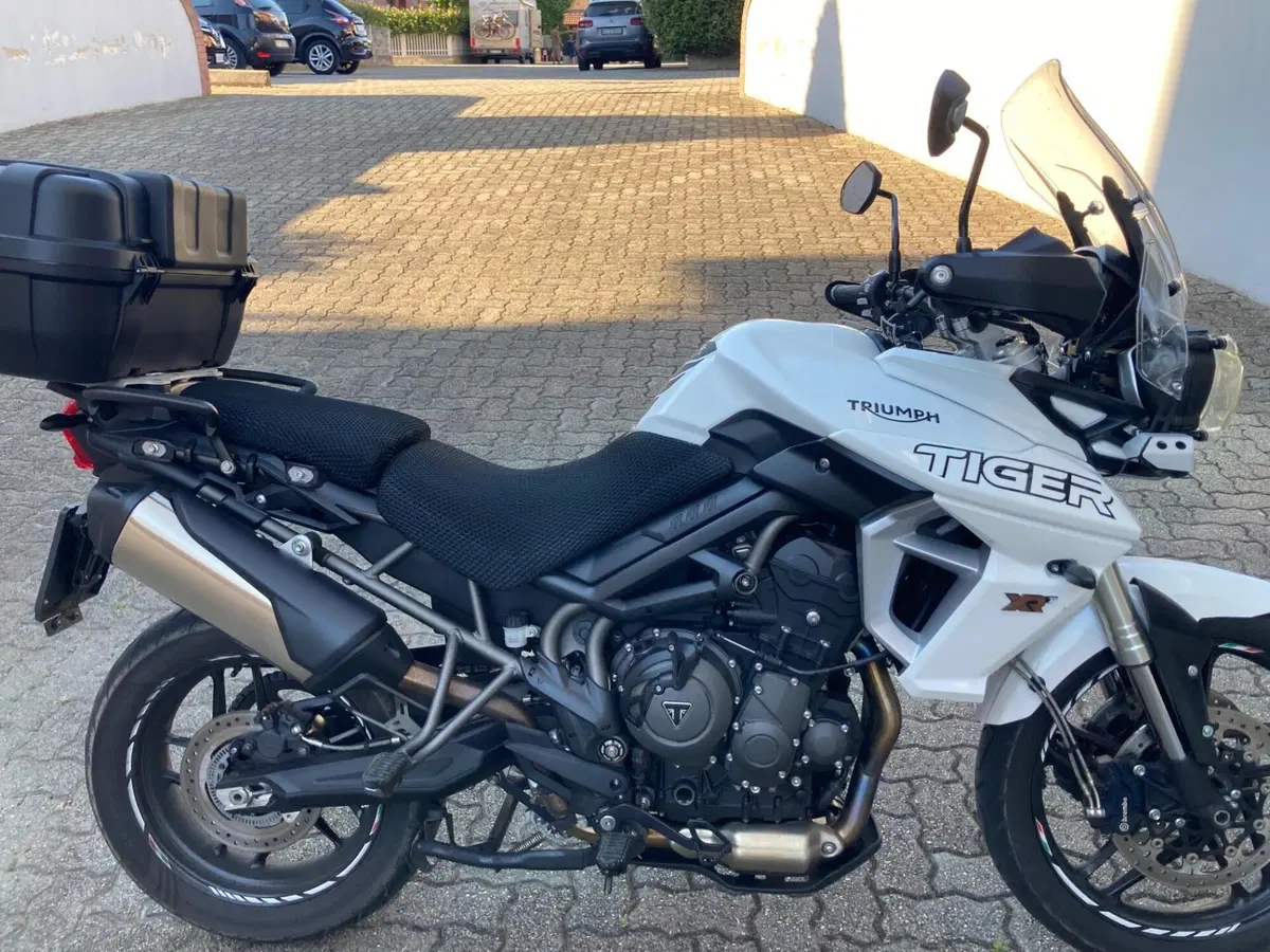 Triumph Tiger 800 XRt (2018 - 20) (5)