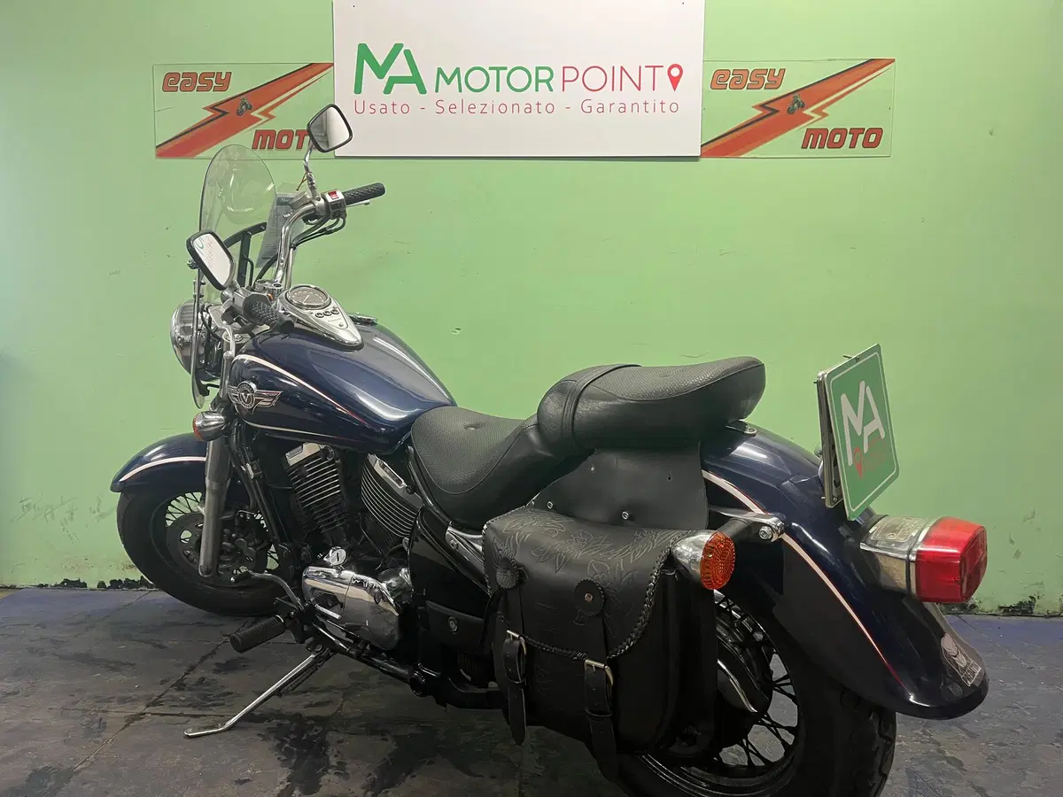 Kawasaki VN 800 Classic (2001 - 06) (5)