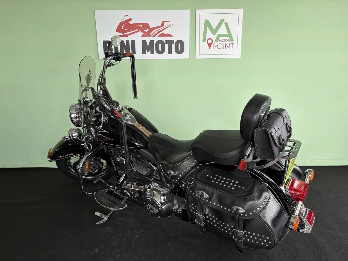 Harley-Davidson 1584 Heritage Classic (2008 - 10) - FLSTC (6)