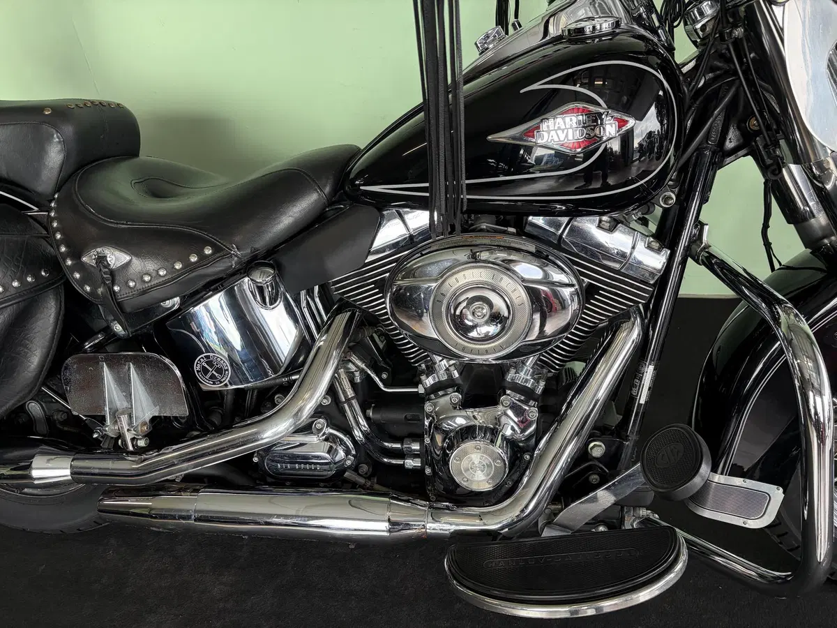 Harley-Davidson 1584 Heritage Classic (2008 - 10) - FLSTC (11)