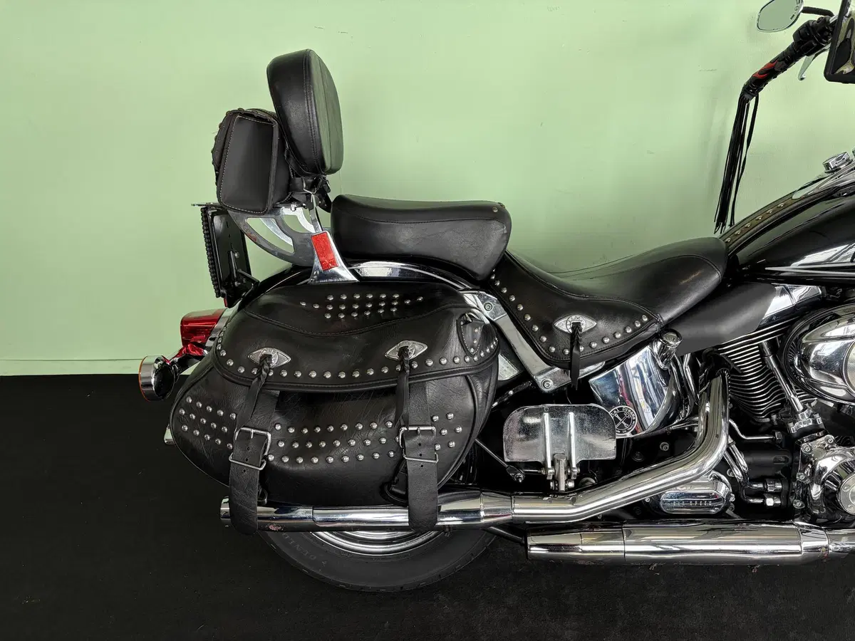 Harley-Davidson 1584 Heritage Classic (2008 - 10) - FLSTC (12)