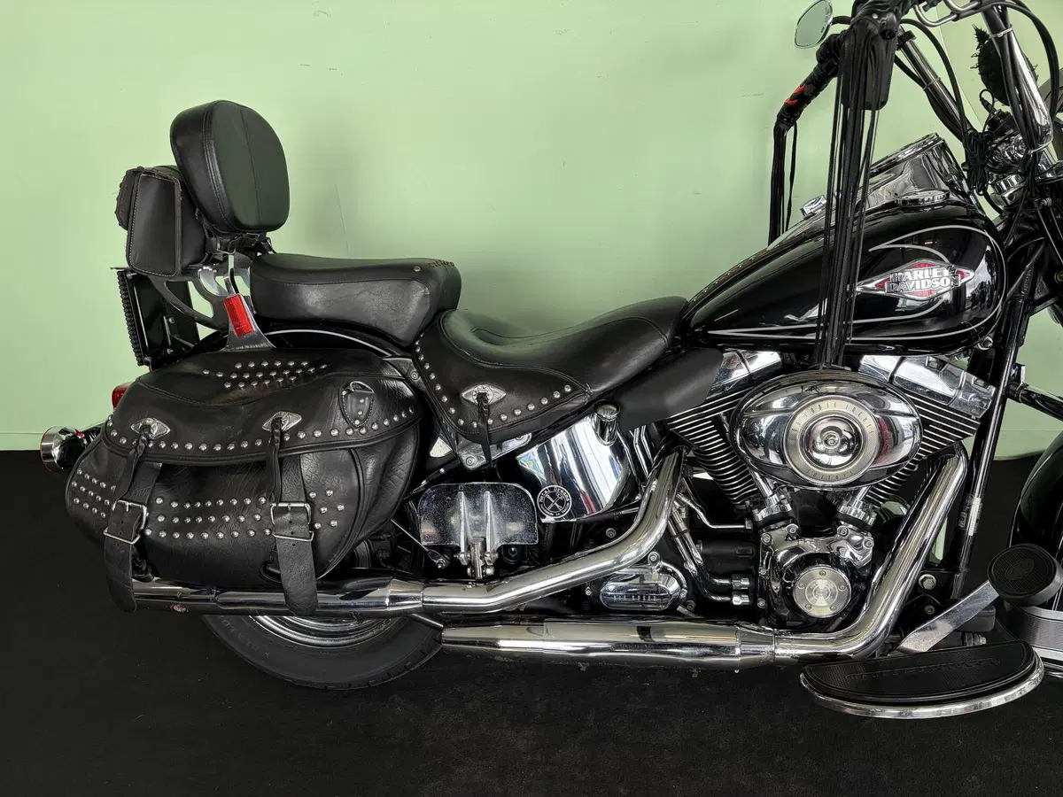 Harley-Davidson 1584 Heritage Classic (2008 - 10) - FLSTC (13)