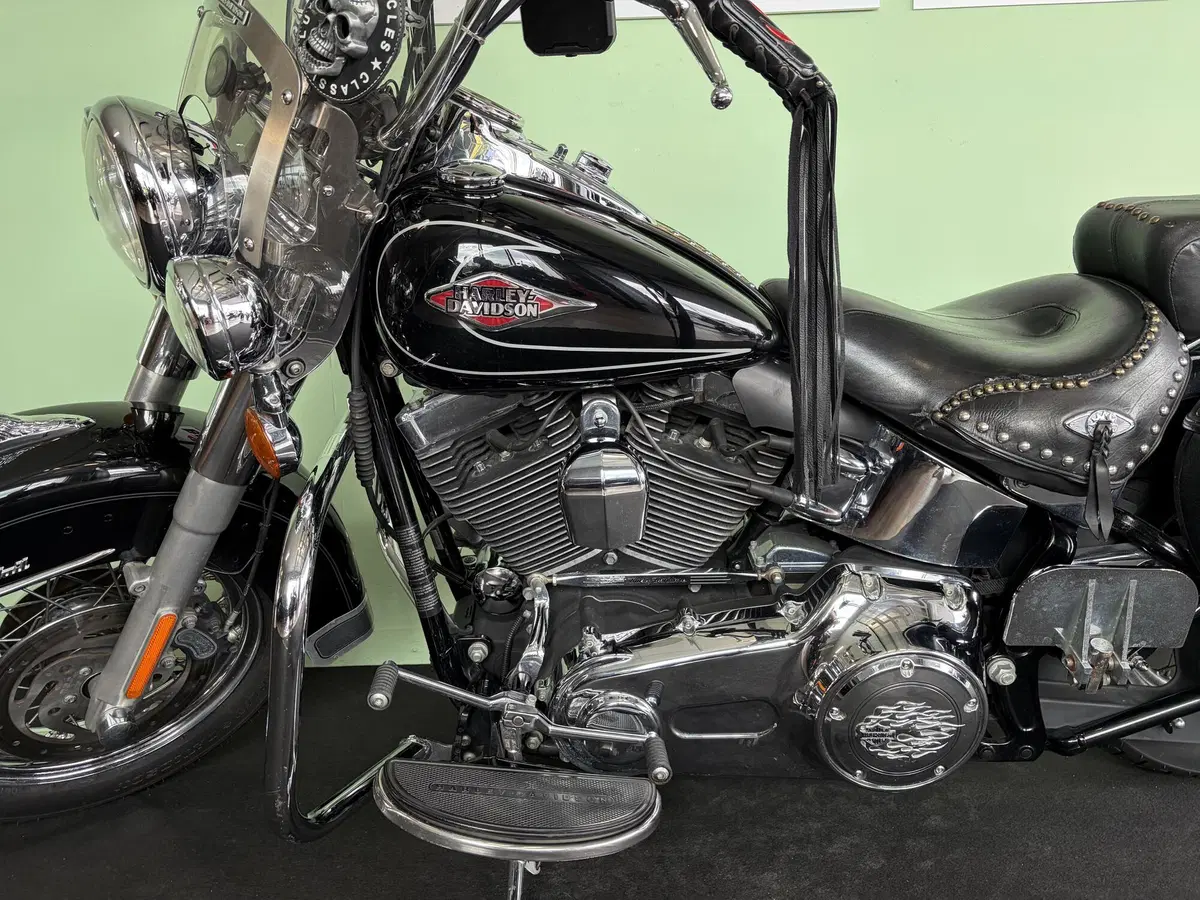 Harley-Davidson 1584 Heritage Classic (2008 - 10) - FLSTC (15)