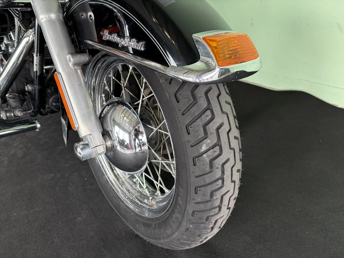 Harley-Davidson 1584 Heritage Classic (2008 - 10) - FLSTC (19)
