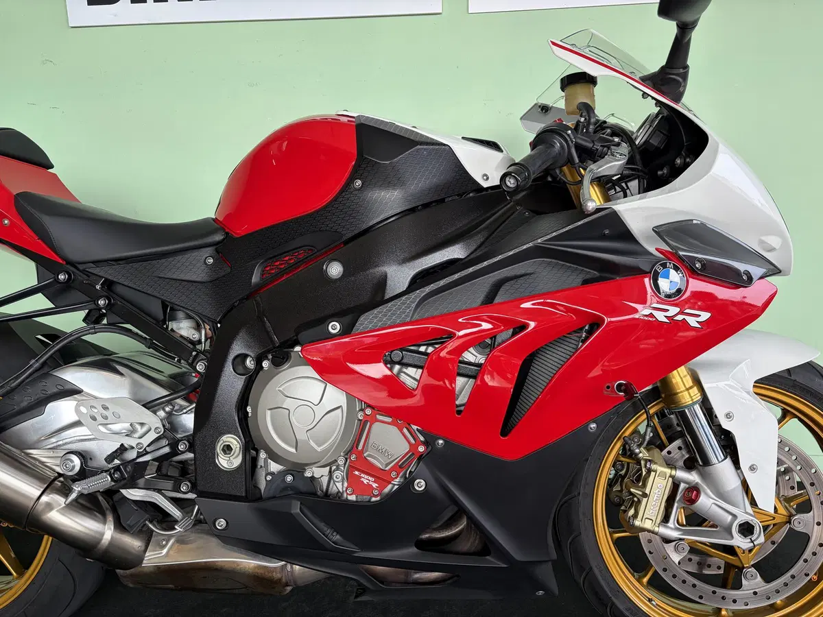 Bmw S 1000 RR (2012 - 14) (10)