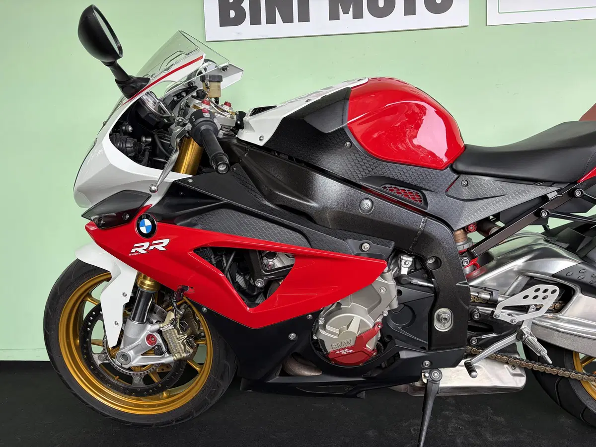 Bmw S 1000 RR (2012 - 14) (15)