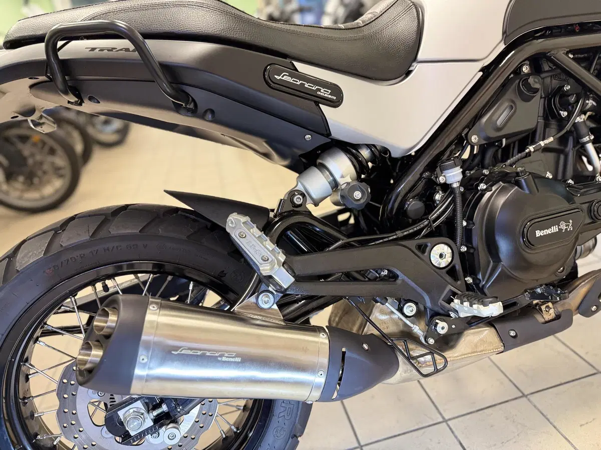 Benelli Leoncino 500 ABS (2017 - 20) (6)