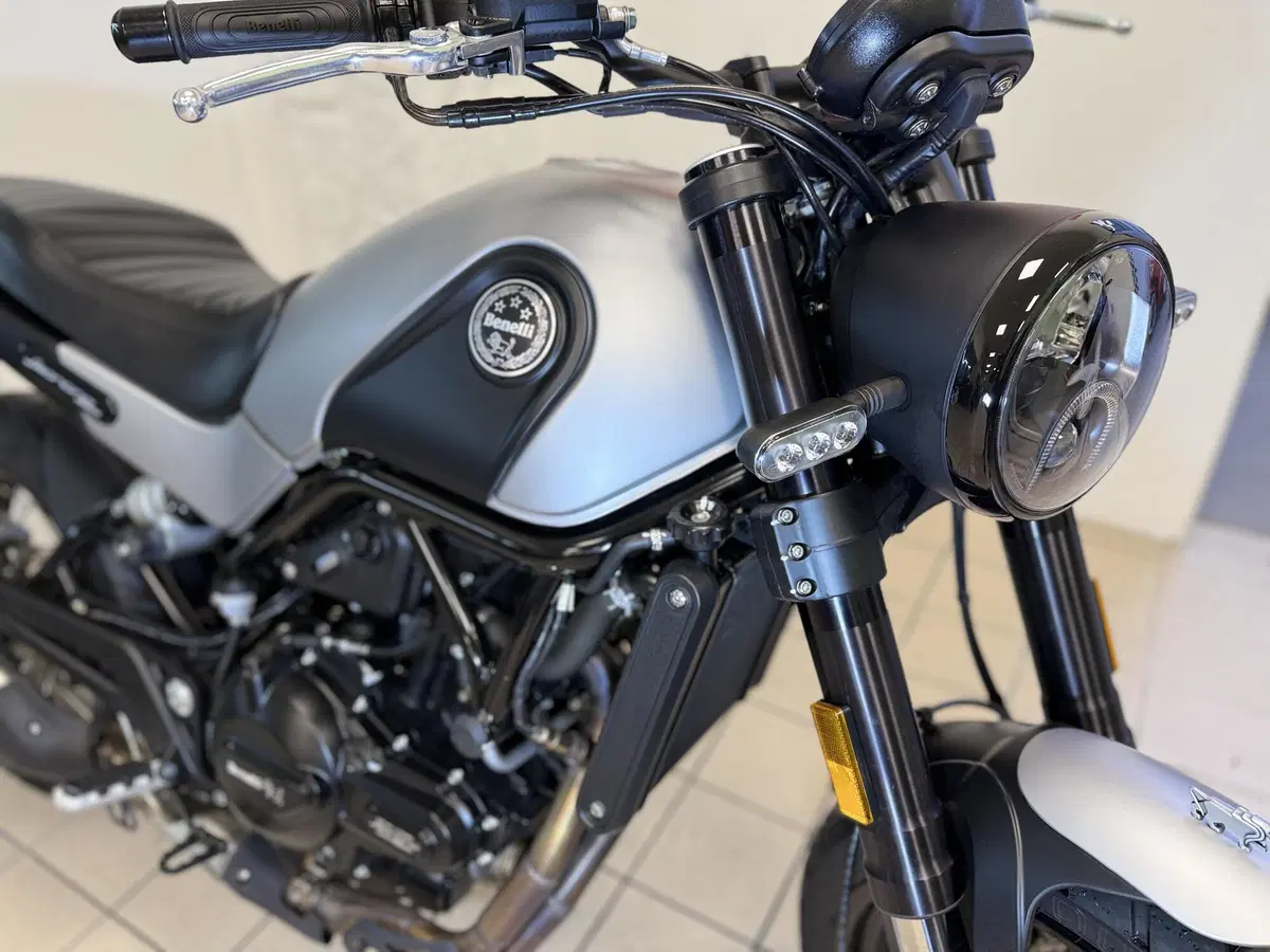 Benelli Leoncino 500 ABS (2017 - 20) (7)