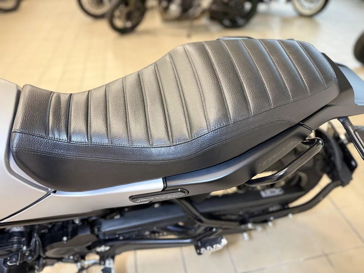 Benelli Leoncino 500 ABS (2017 - 20) (10)