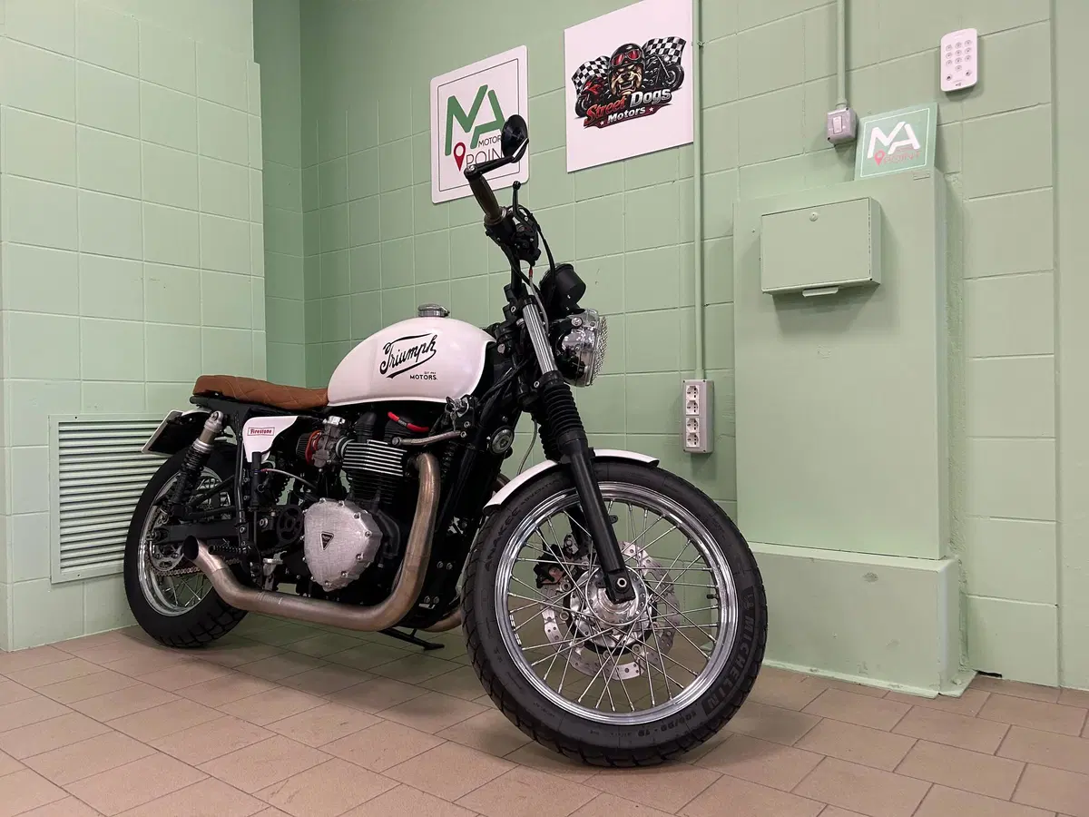 Triumph Bonneville T100 (2008 - 16) (9)