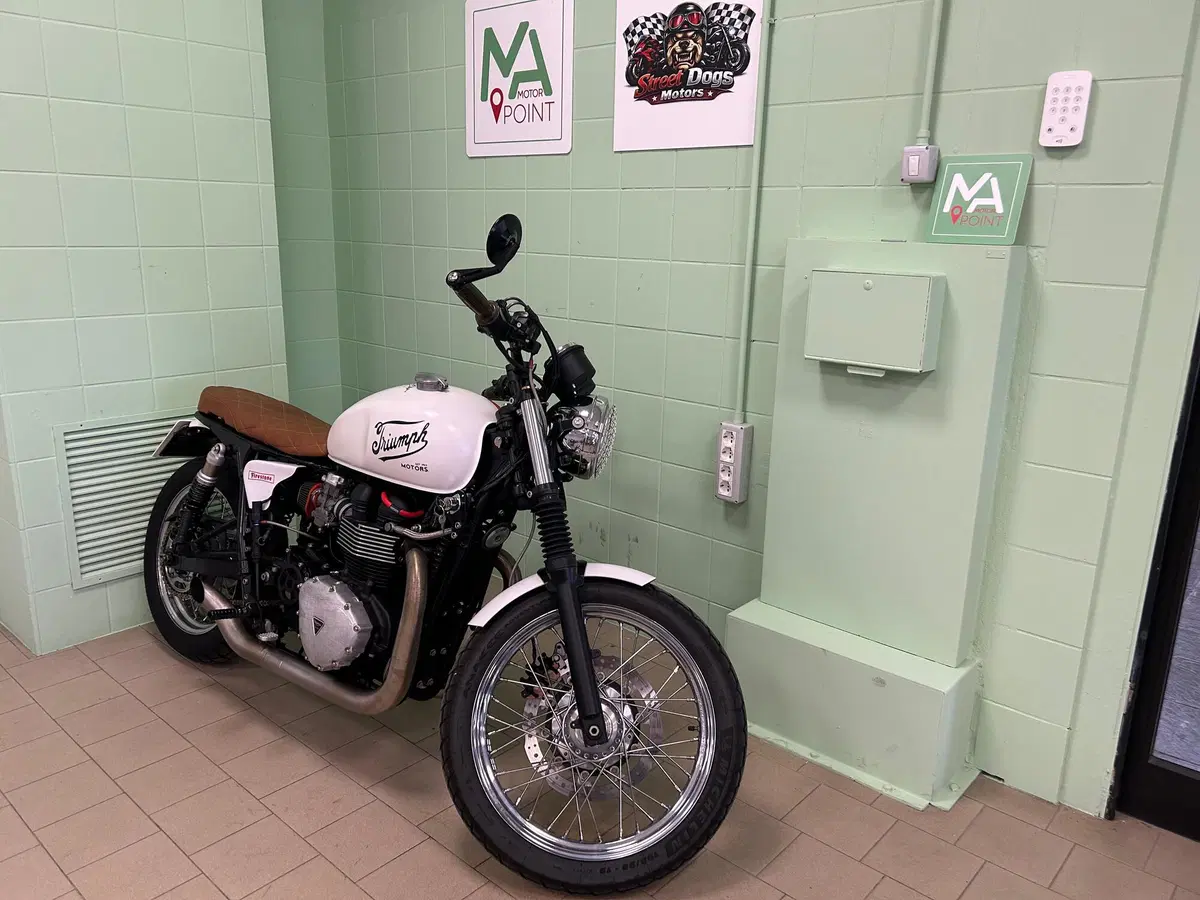 Triumph Bonneville T100 (2008 - 16) (10)
