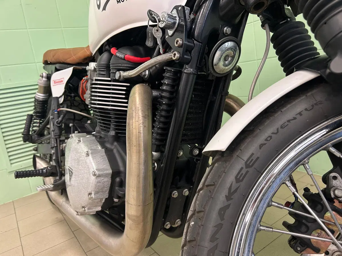 Triumph Bonneville T100 (2008 - 16) (11)