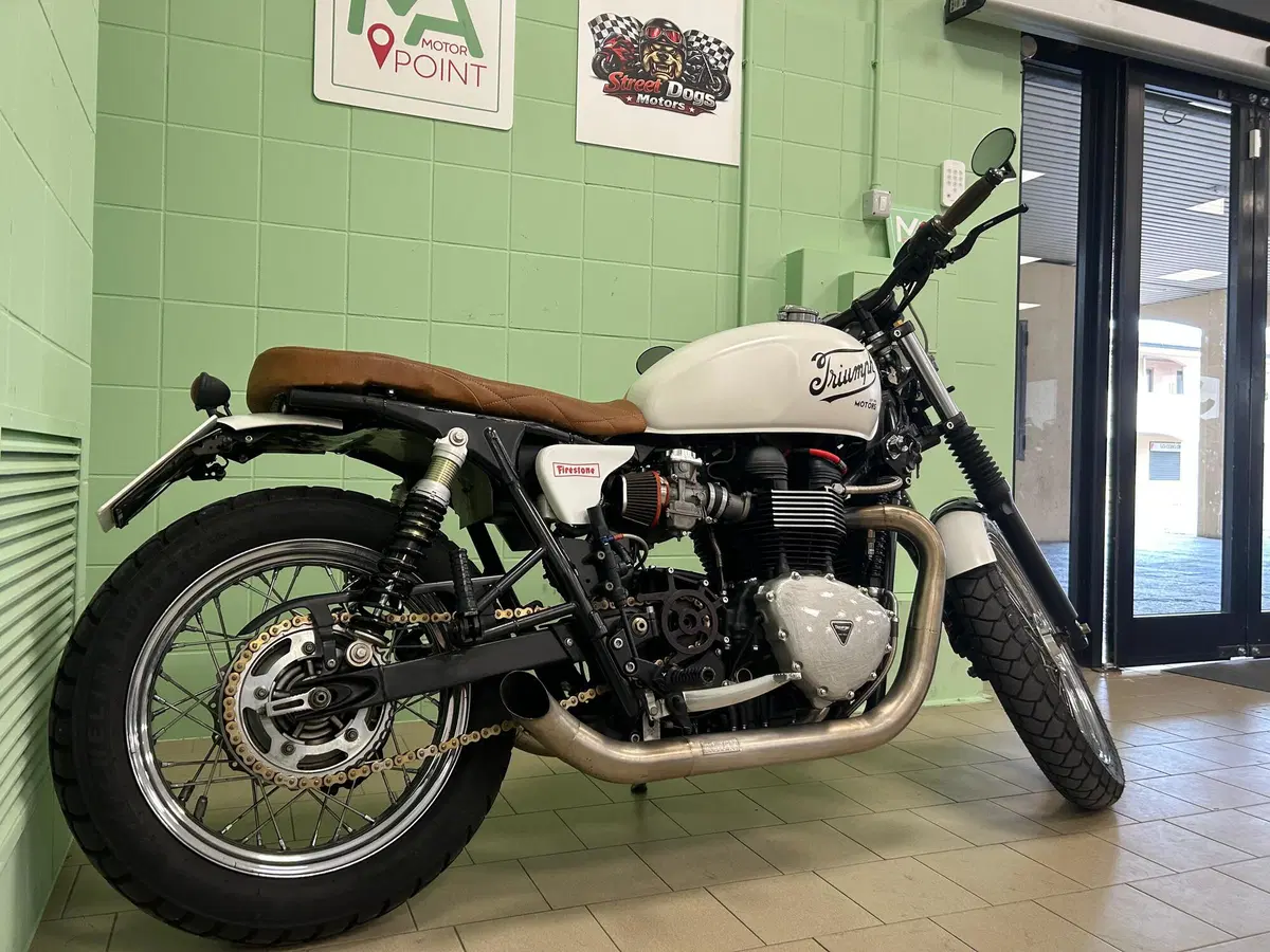 Triumph Bonneville T100 (2008 - 16) (12)