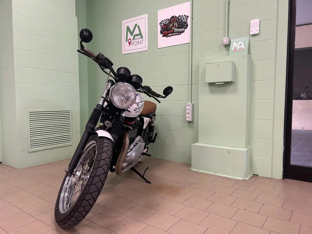 Triumph Bonneville T100 (2008 - 16) (18)