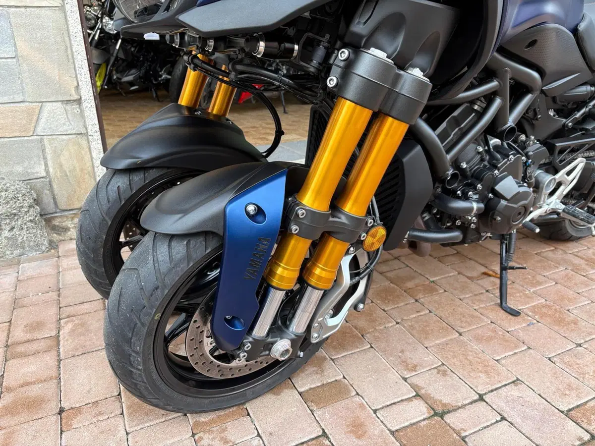 Yamaha Niken 850 GT (2019 - 20) (16)
