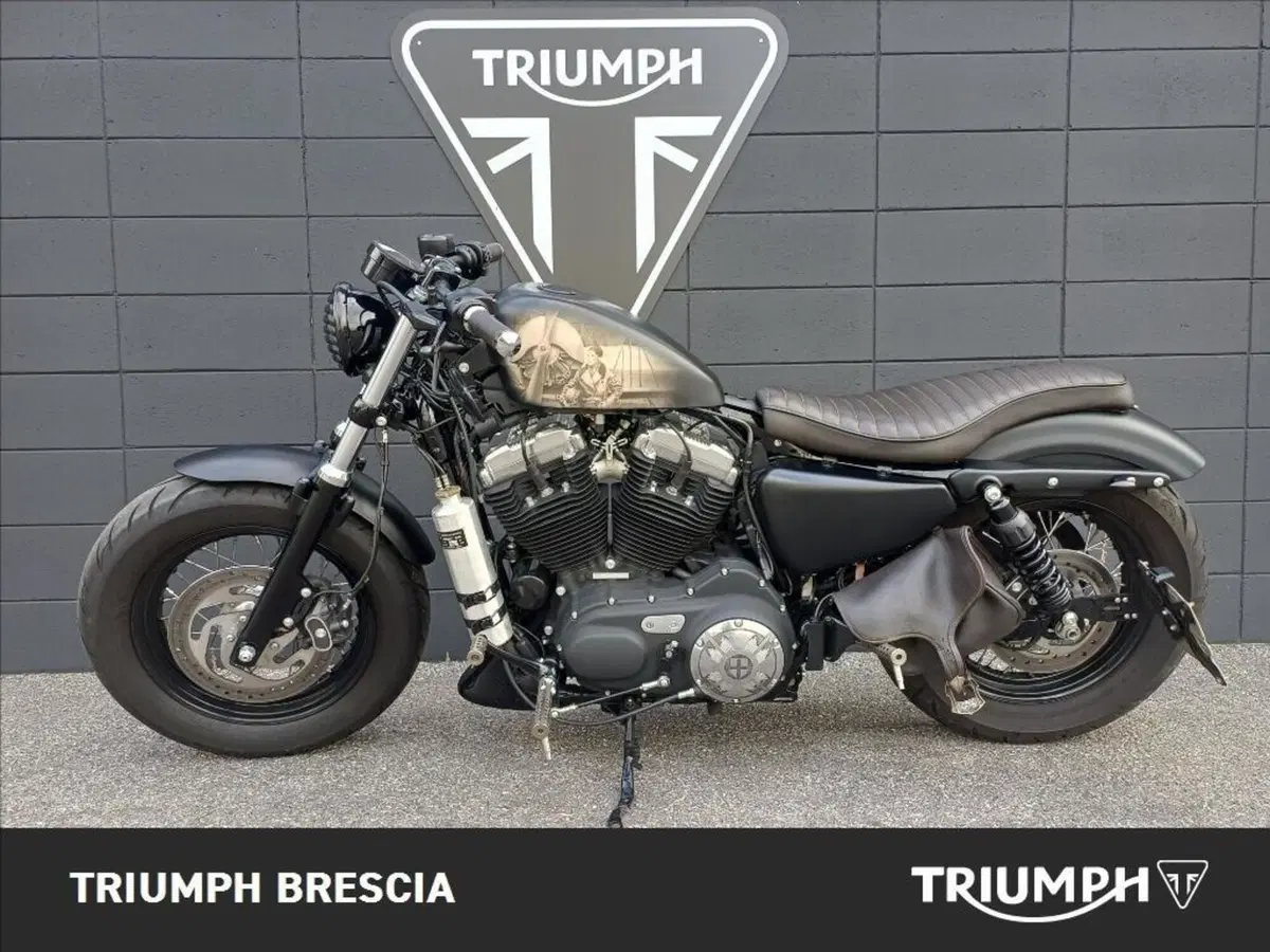 Harley-Davidson 1200 Forty-Eight (2010 - 15) (13)