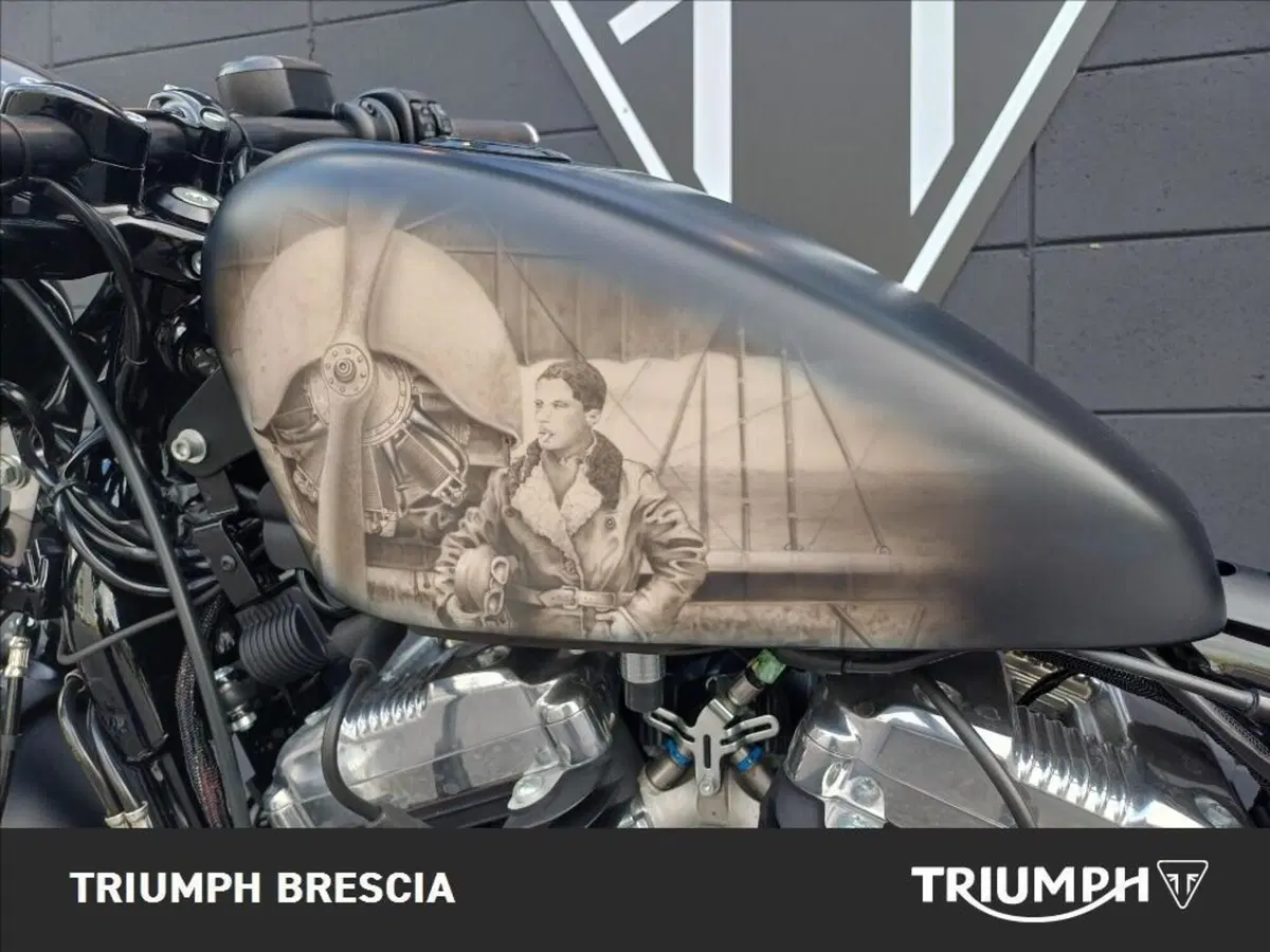 Harley-Davidson 1200 Forty-Eight (2010 - 15) (14)