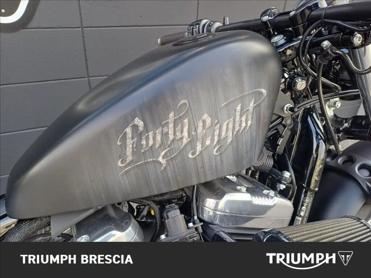 Harley-Davidson 1200 Forty-Eight (2010 - 15) (8)