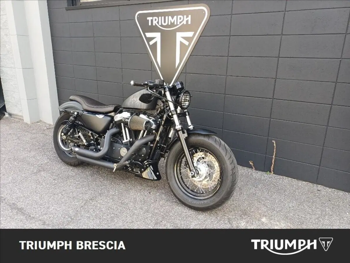 Harley-Davidson 1200 Forty-Eight (2010 - 15) (2)