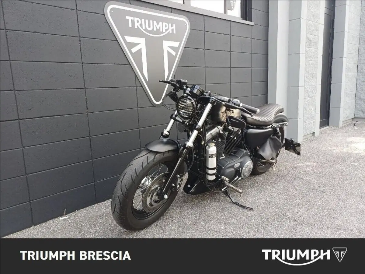 Harley-Davidson 1200 Forty-Eight (2010 - 15) (15)