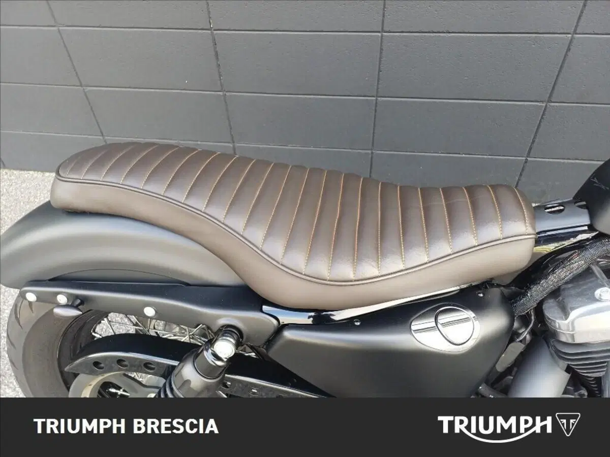 Harley-Davidson 1200 Forty-Eight (2010 - 15) (9)