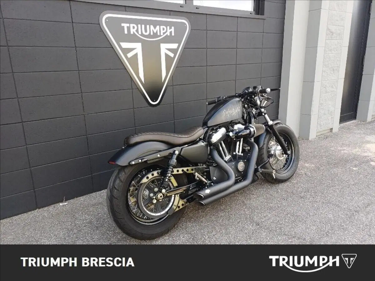Harley-Davidson 1200 Forty-Eight (2010 - 15) (3)