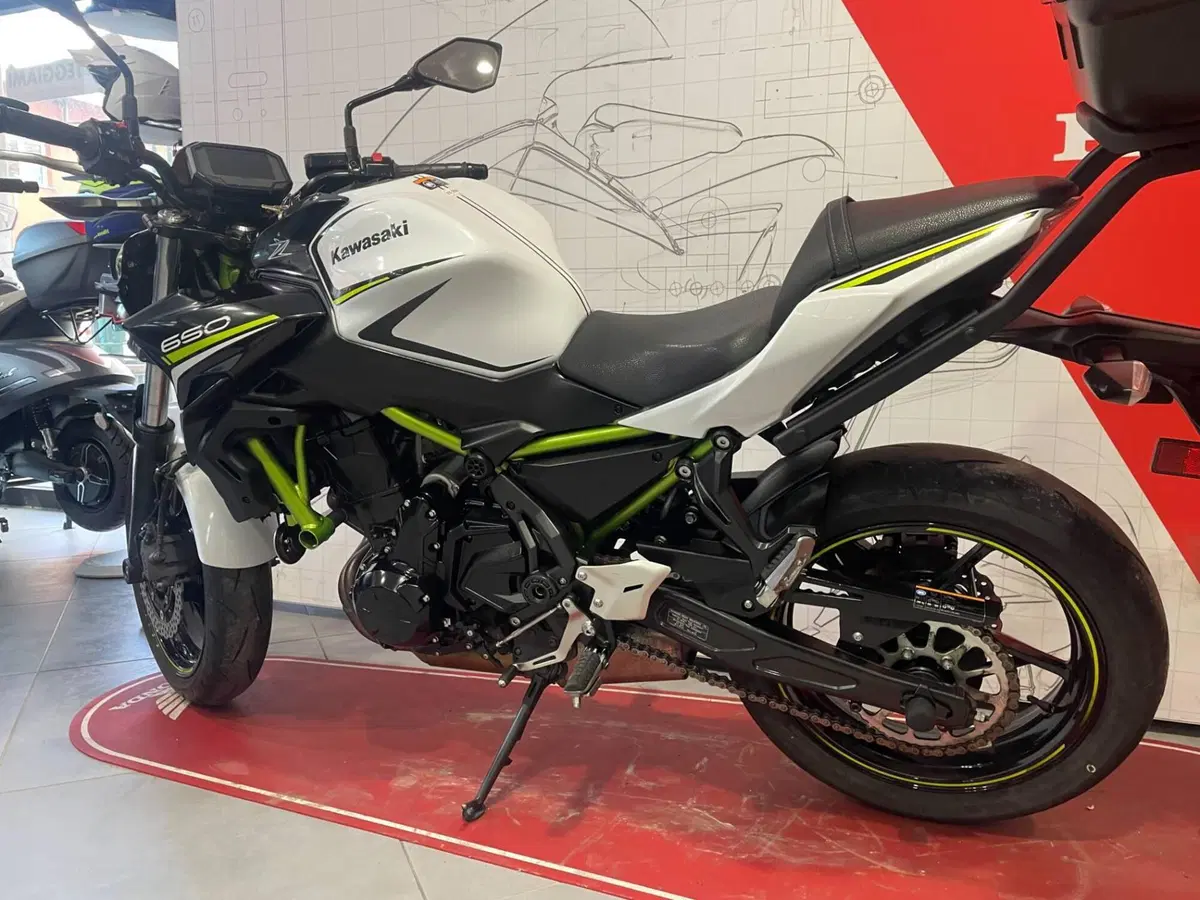 Kawasaki Z 650 (2020) (6)