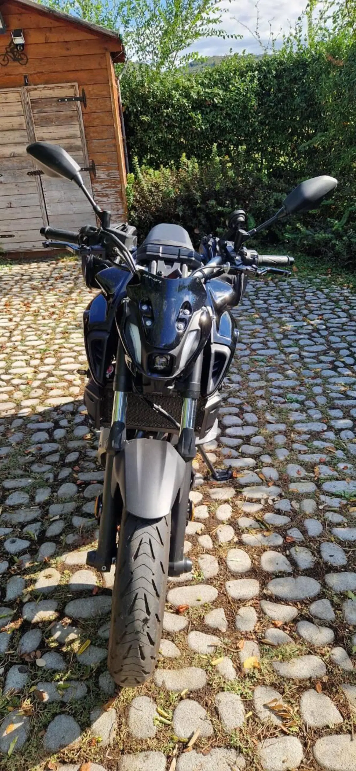 Yamaha MT-07 Pure (2023 - 25) (2)